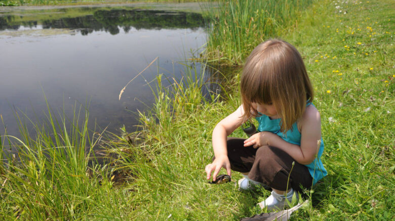 A Voice for Our Waters