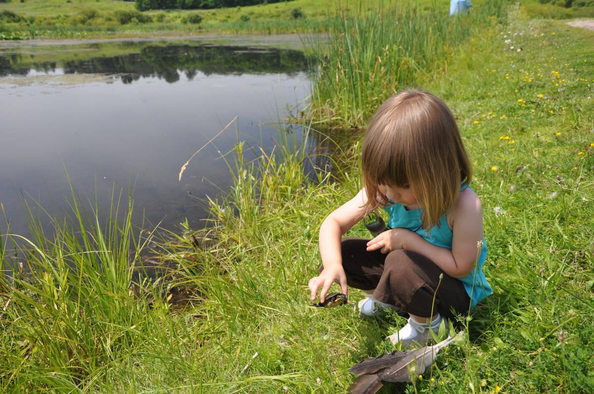 A Voice for Our Waters